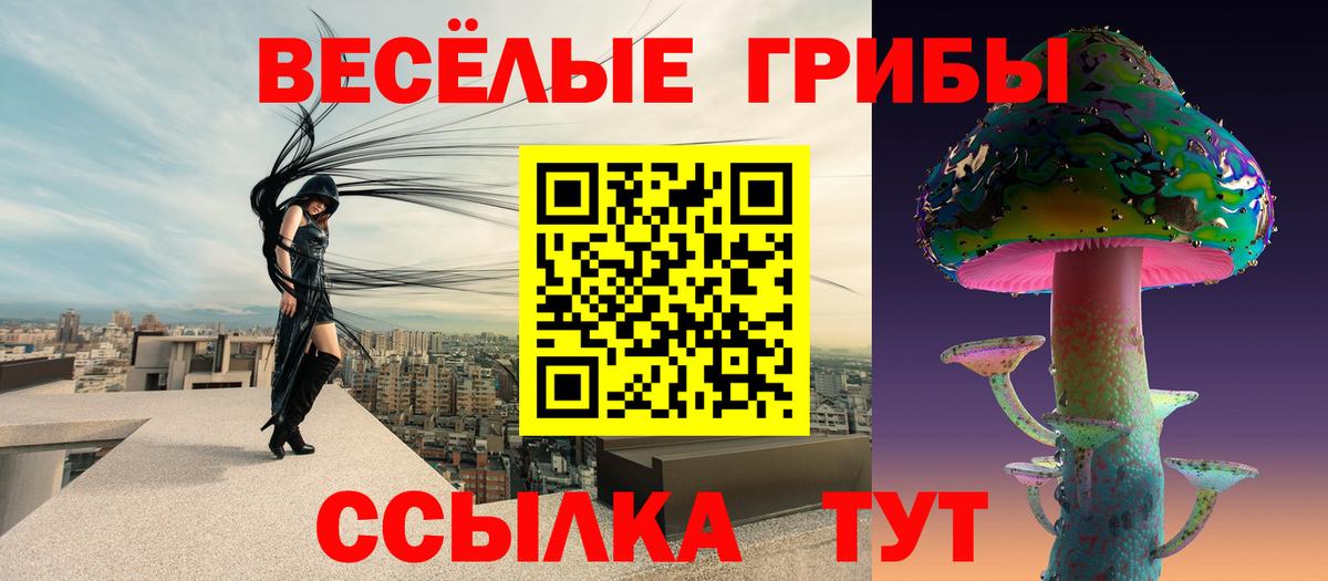 Галлюциногенные грибы прущие грибы  где можно купить наркотик  Истра  Вход с VPN 